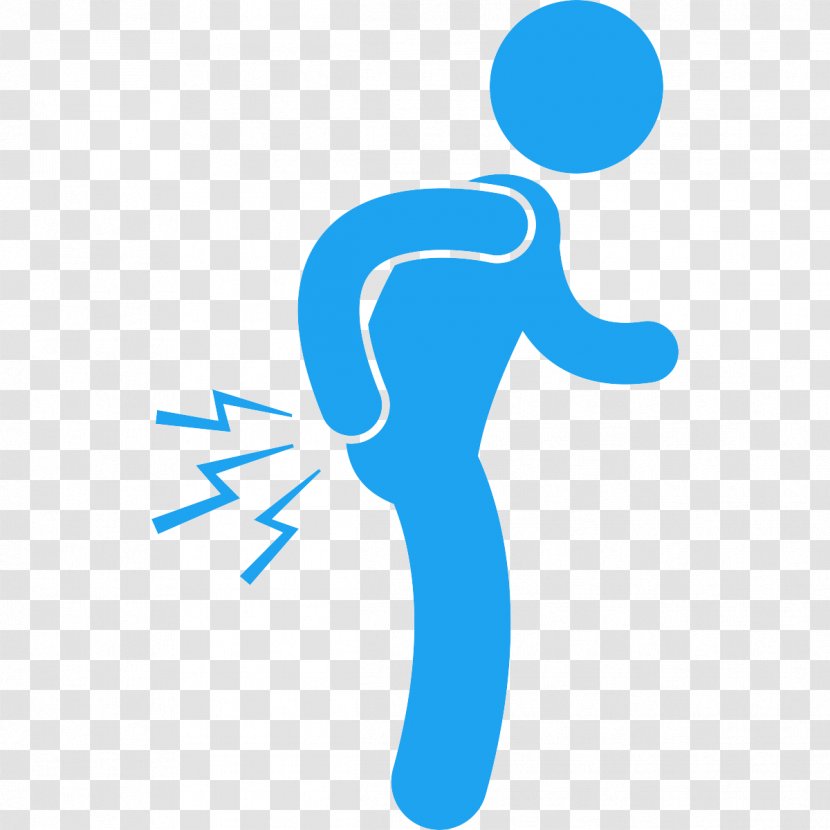 Low Back Pain Haymarket Physical Therapy - Human - Bealeton Management BackNapoli Transparent PNG