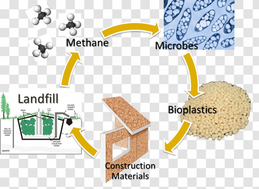 Sustainability Natural Environment Material Environmental Degradation Resource Management Transparent PNG