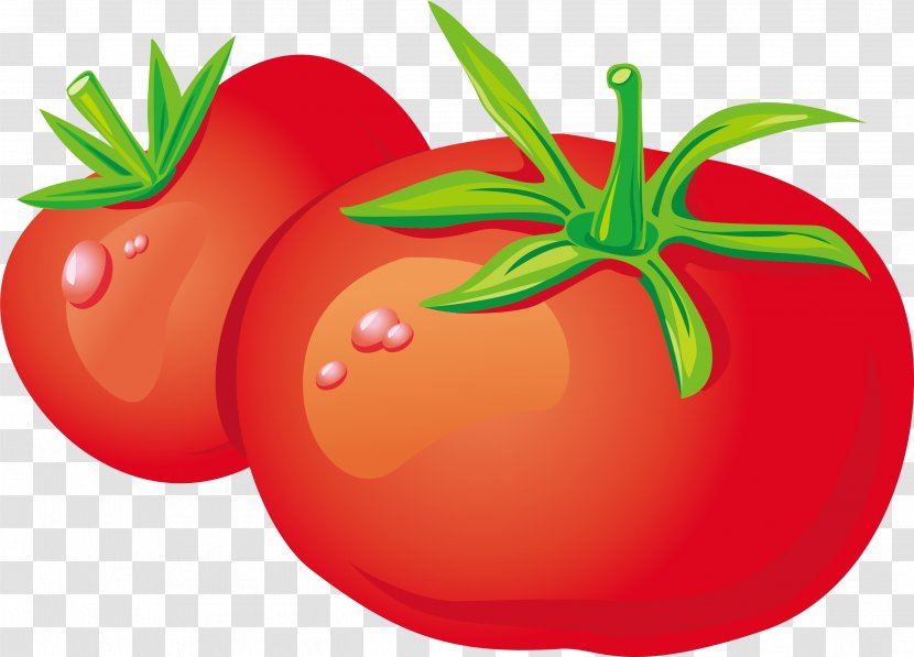 Vegetable Zakuski Tomato Fruit - Cauliflower - Cartoon Transparent PNG