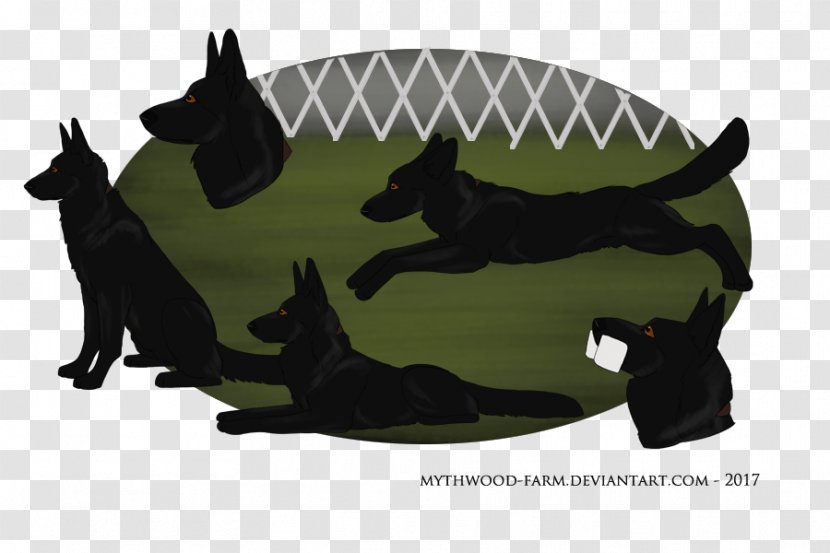 Dog Breed Leash Snout - Mammal Transparent PNG