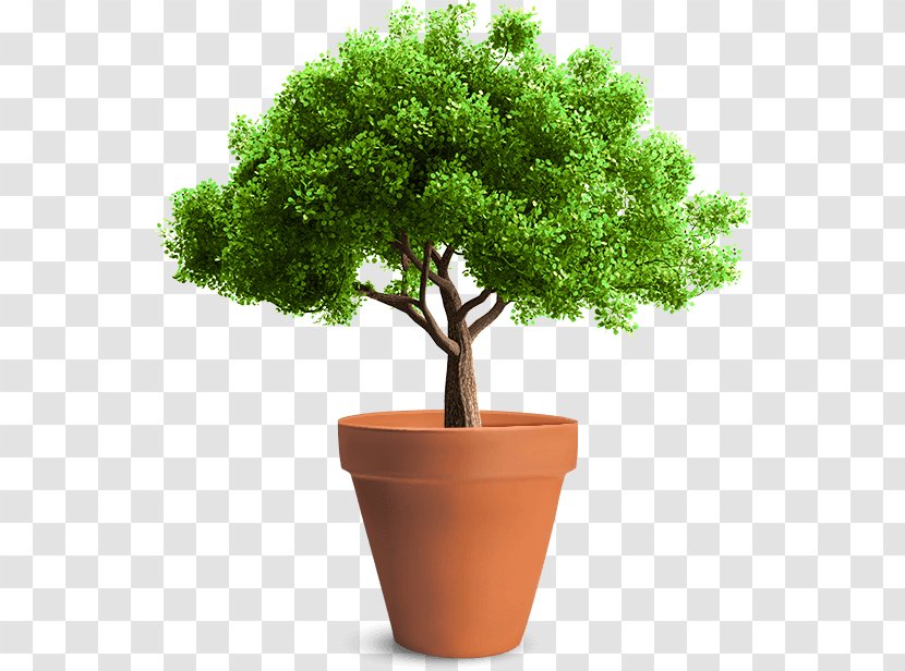 Tree Planting Arborist Sketch - Flower Pot Transparent PNG