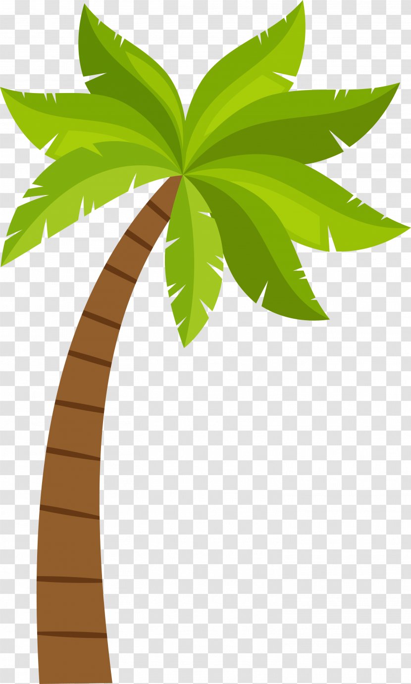 Coconut Arecaceae - Plant Stem - Cartoon Tree Pattern Transparent PNG