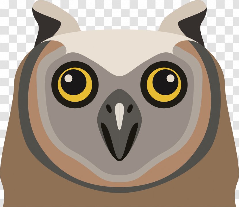 Owl Cartoon Clip Art - Snout - Vector Transparent PNG