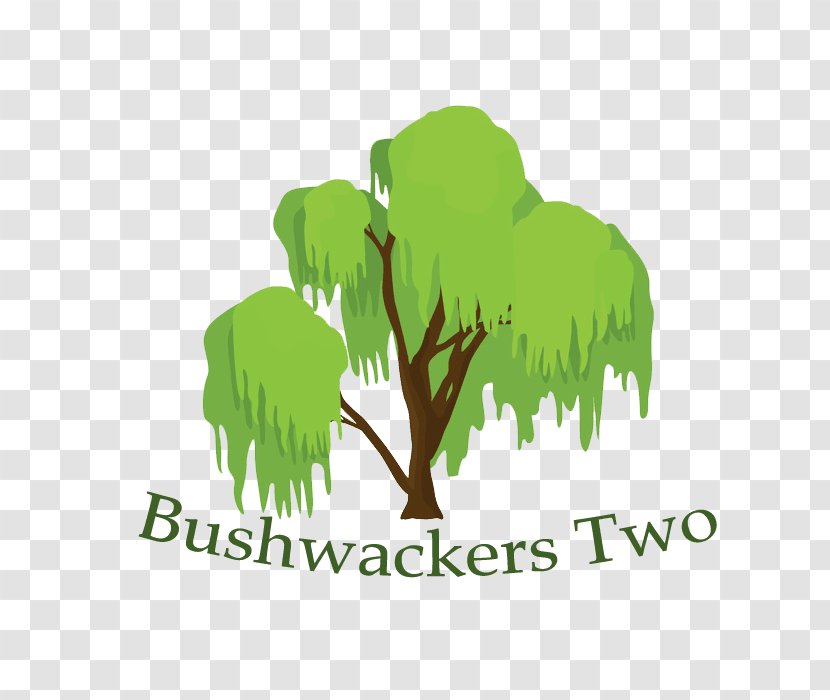 Tree Bushwackers Two Conifer Cone - Text - Agriculture Business Transparent PNG