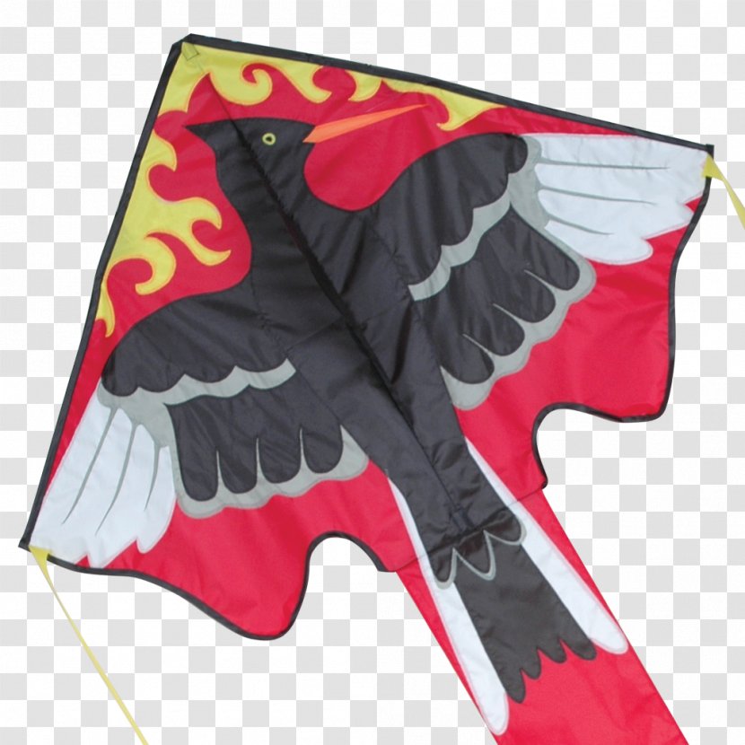 Kite St. Augustine Rebel & Bird Wind Sail - Dragon Transparent PNG