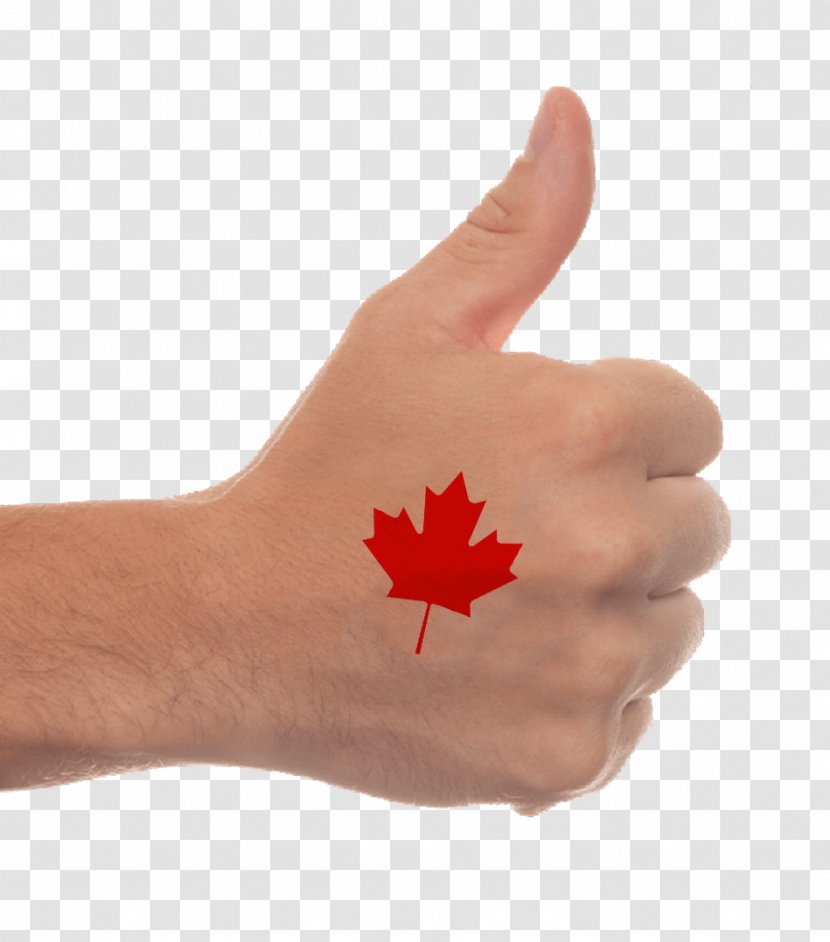Thumb Signal Hand Gesture Business Transparent PNG