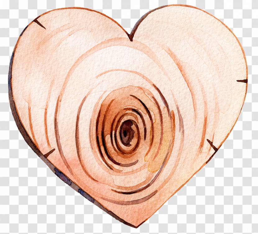 Heart-shaped Hand-painted Wood - Resource - Drawing Transparent PNG