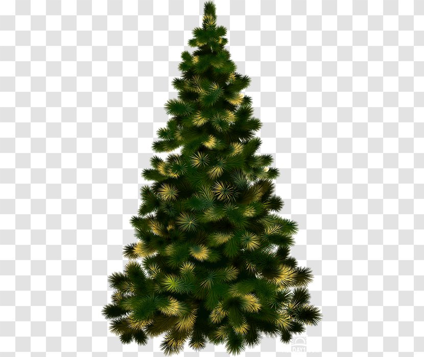Christmas Tree Decoration Clip Art - Evergreen Transparent PNG