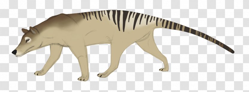 Thylacine The Tasmanian Devil Dog Mammal - Organism - Tasmania Australia Animals Transparent PNG