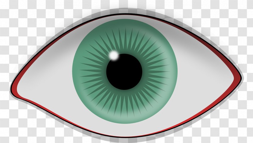 Human Eye Retina Iris Visual Perception - Flower Transparent PNG