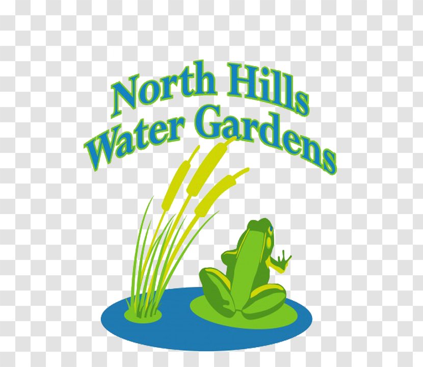 Best Feeds Garden Centers LLC North Hills Water Gardens Tree Frog Pittsburgh - Flowering Plant Transparent PNG