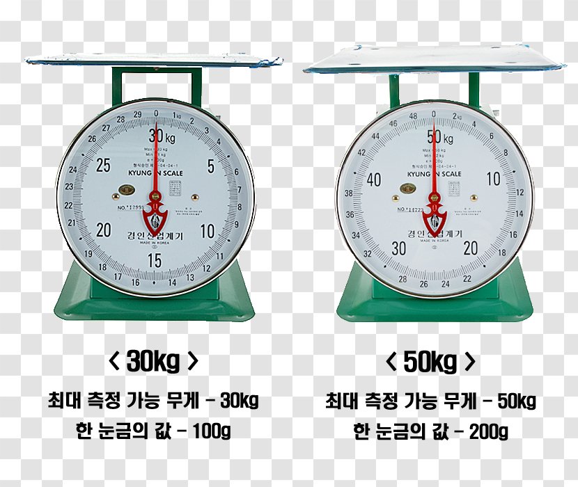 Measuring Scales EBay Korea Co., Ltd. Salter Housewares CAS Corporation Kitchen - Coupon Transparent PNG