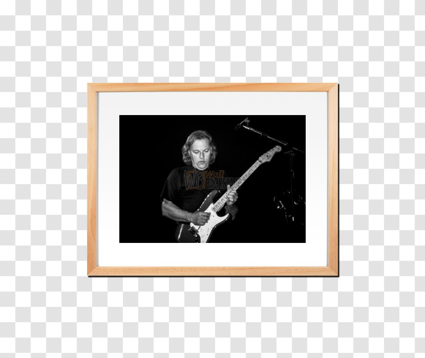 AccorHotels Arena Photography Actuacions De Pink Floyd Concert - Wallbackstage - David Gilmour Transparent PNG