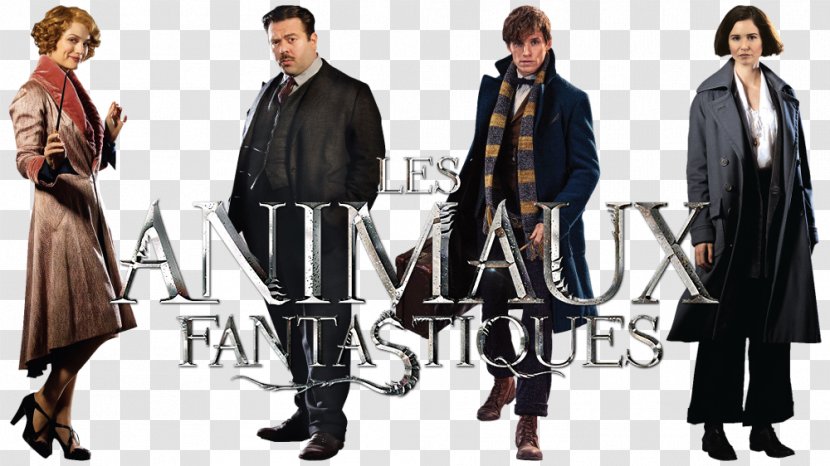 Fantastic Beasts And Where To Find Them Film Series 0 Blu-ray Disc 720p - Imdb Transparent PNG