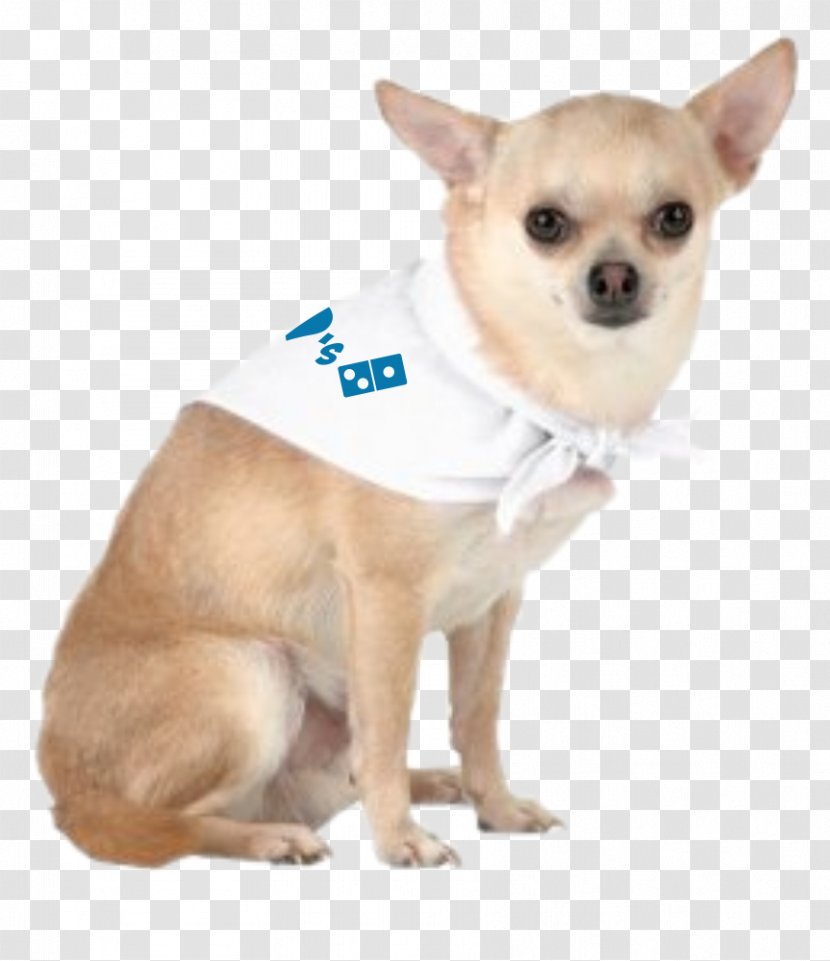 Chihuahua Puppy Kerchief Dog Breed Promotion - Snout Transparent PNG