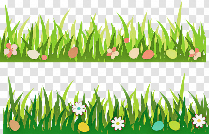 Grass Green Plant Grass Family Lawn Transparent PNG