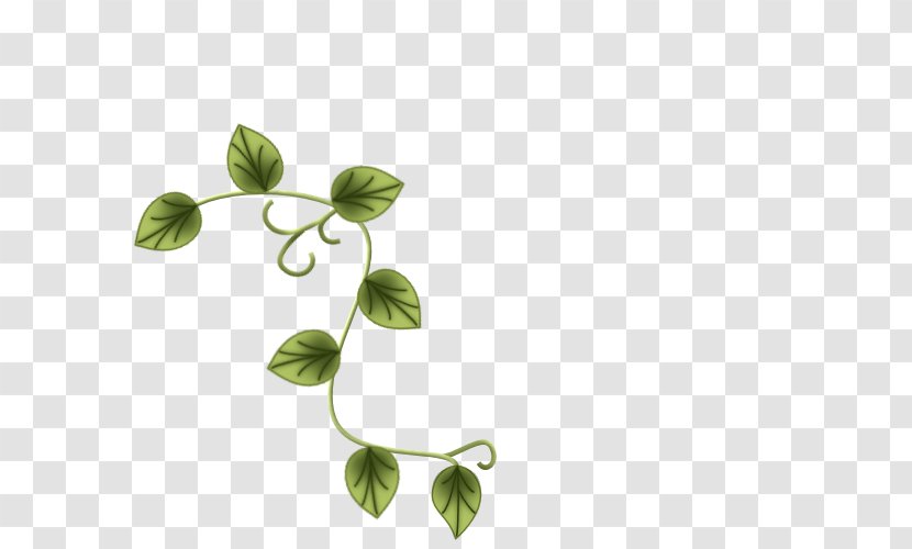 Flora Leaf Plant Stem Week Happiness Transparent PNG