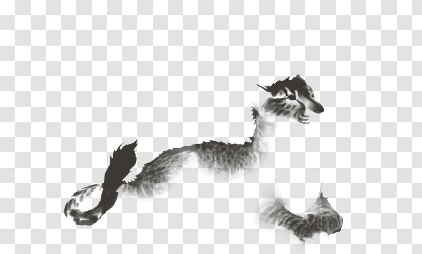 Cat Dog Canidae Fur Drawing Transparent PNG