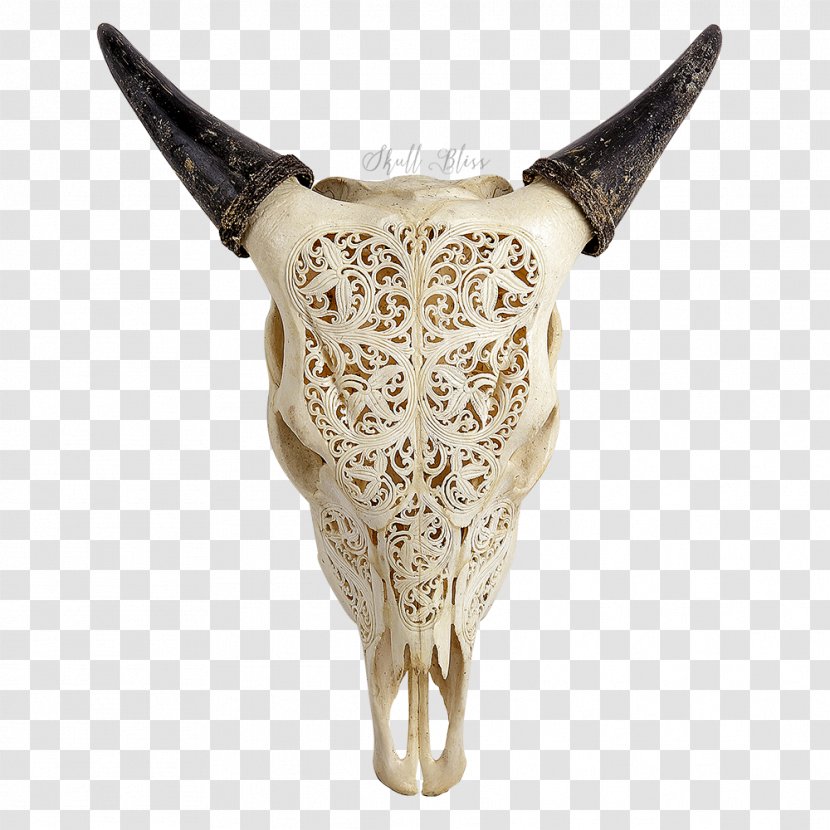 Texas Longhorn Animal Skulls Human Skull - Wood Carving - Buffalo Transparent PNG