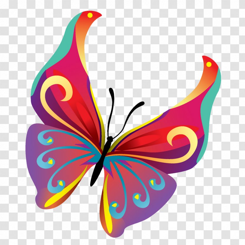 Butterfly Clip Art - Invertebrate - Butterflies Vector Pic Transparent PNG