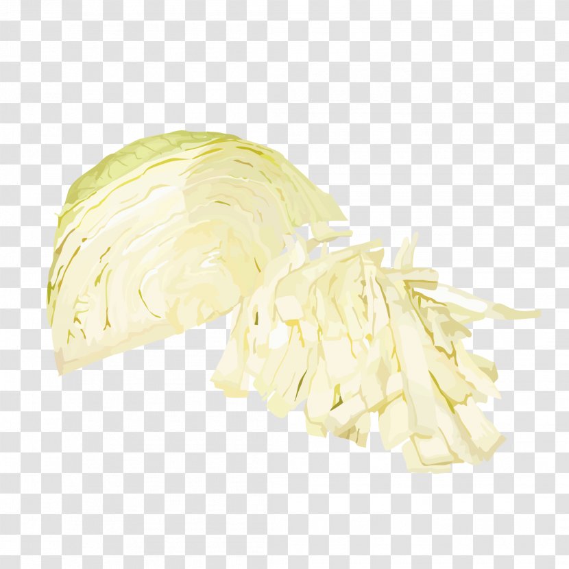 Cabbage Vegetable Food - Silk Transparent PNG