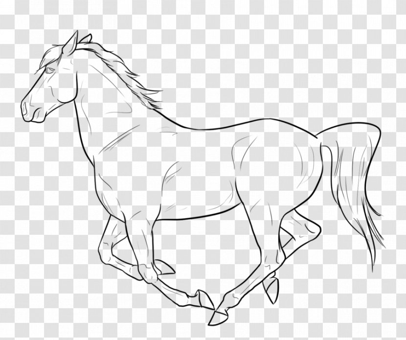 Canter And Gallop Line Art Drawing Mustang - Galloping Horse Transparent PNG