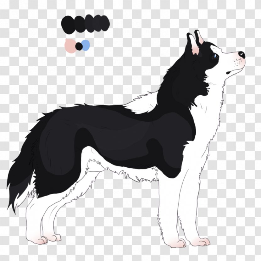 Dog Breed Border Collie Rough - Eat Chocolate J Transparent PNG