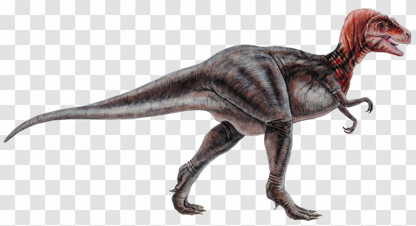 Dinosaur Museum Tyrannosaurus Park Reptile - Extinction - Cretaceous Transparent PNG