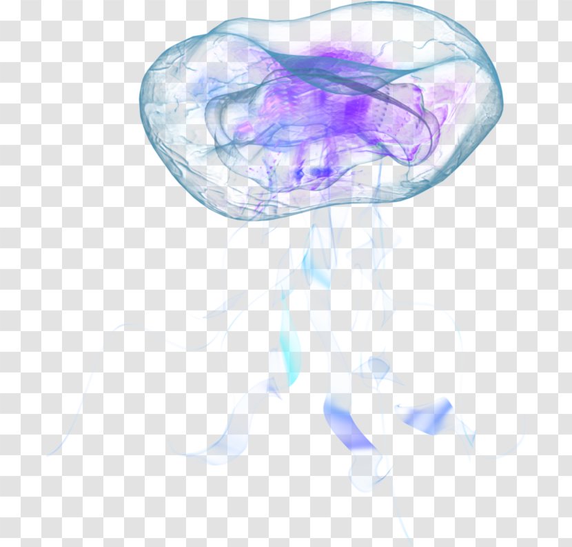 Nomura's Jellyfish Aurelia Aurita Marine Invertebrates Transparent PNG