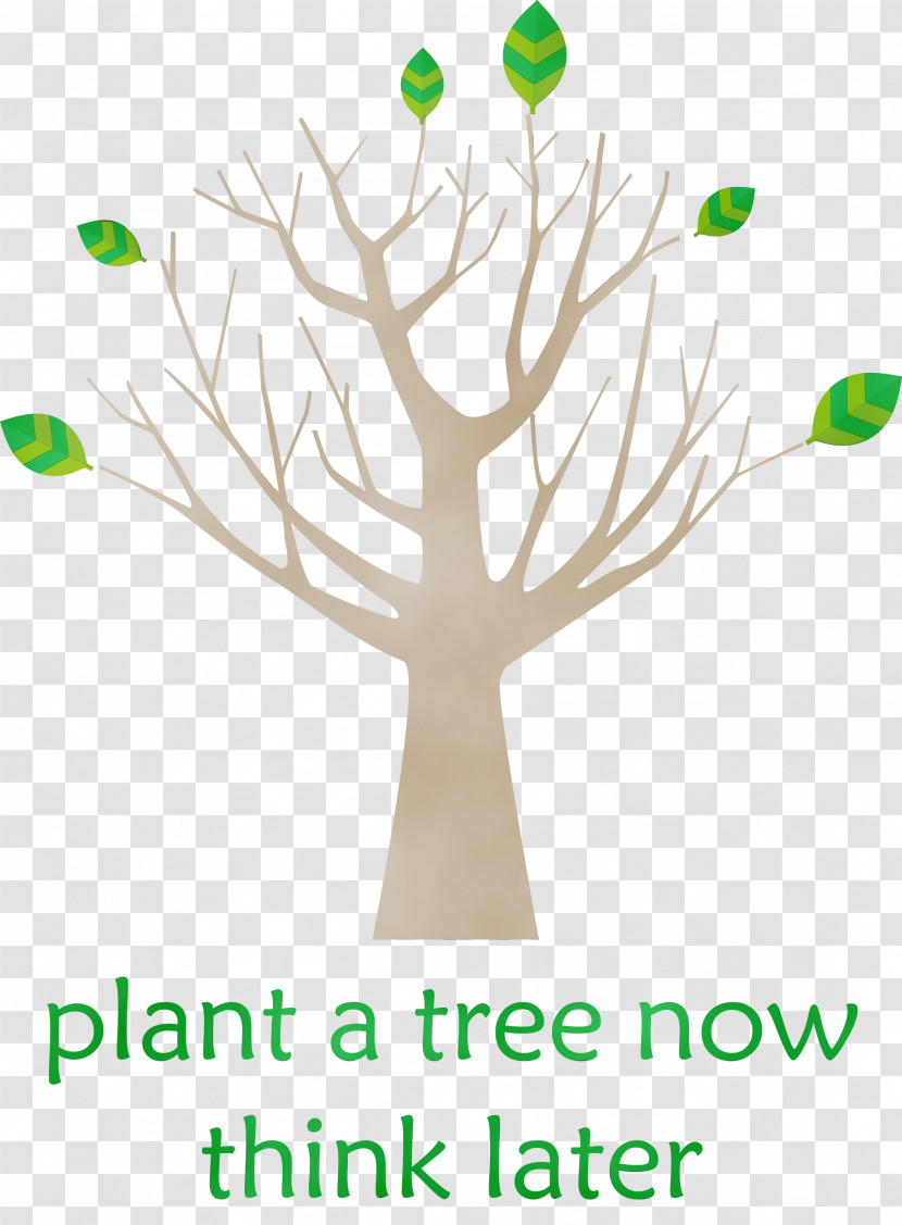 Tree Broad-leaved Tree Leaf Plant Stem Plants Transparent PNG