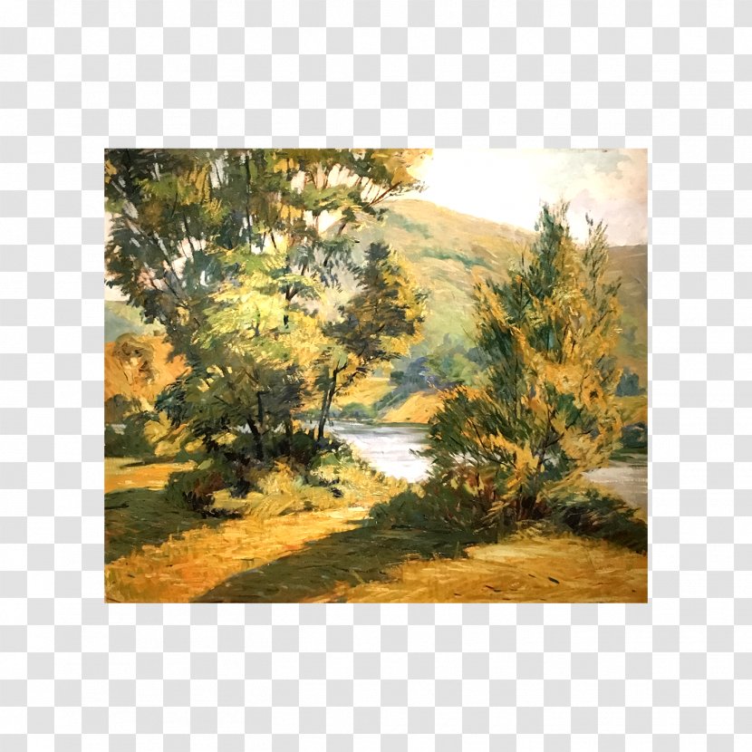Ecosystem Landscape Biome Tree Painting - Real Property - Antiquity Watercolor Transparent PNG