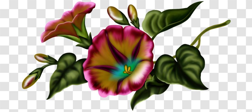 Floral Design Flower Clip Art - Flowering Plant - Internet Element Transparent PNG