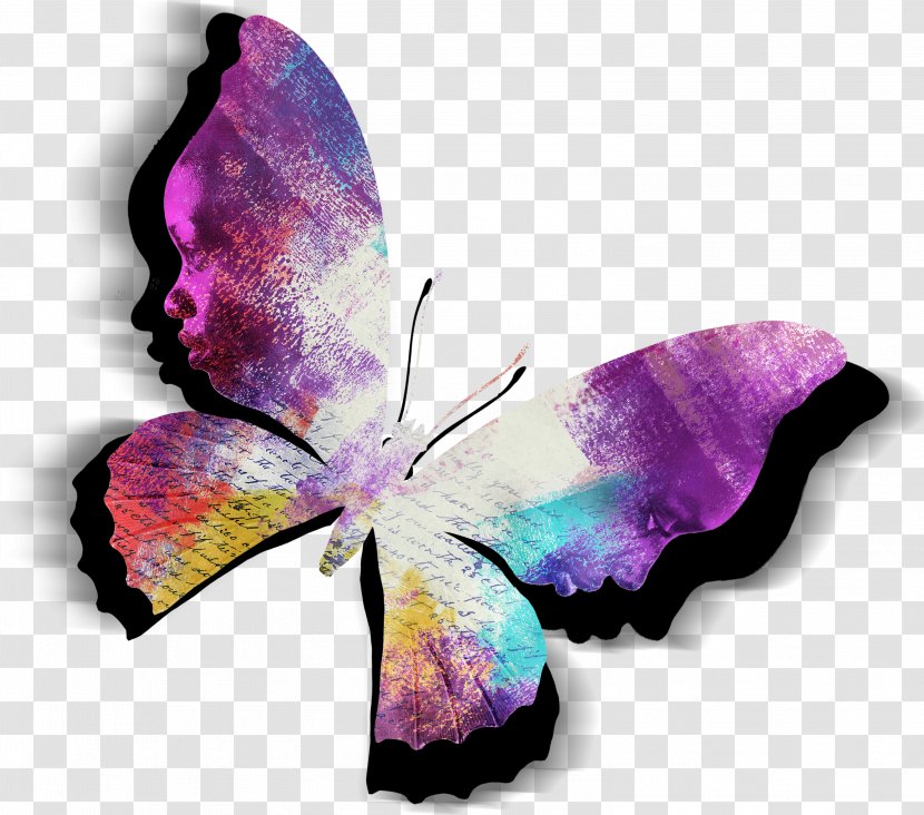 The Color Purple Violet Magenta - Flower - Butterfly Transparent PNG