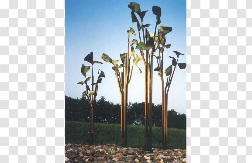 Flowering Plant Stem Sky Plc Transparent PNG