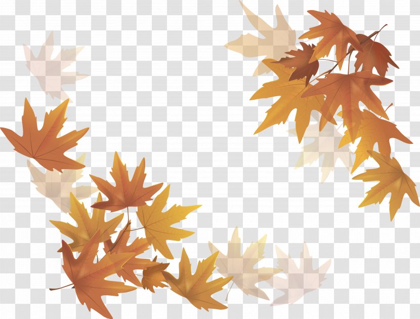 Drawing Autumn - Tree - Cartoon Mid Decoration Transparent PNG