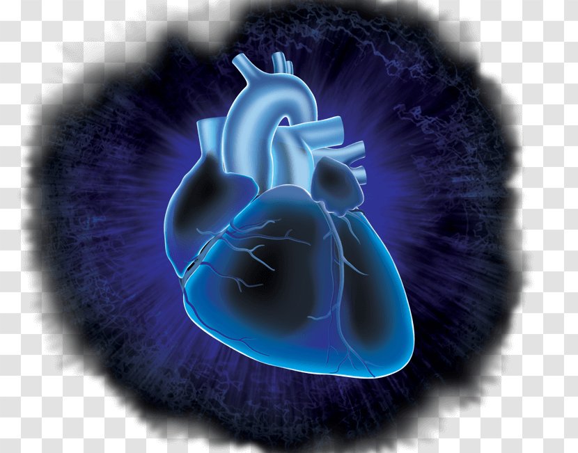 Circulatory System Cardiovascular Research Heart Desktop Wallpaper Disease Transparent PNG