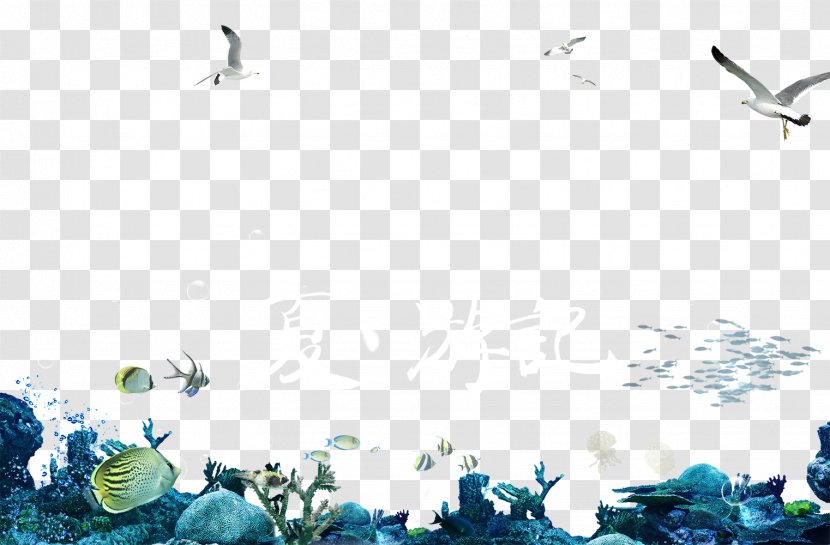 Seabed Underwater Transparent PNG