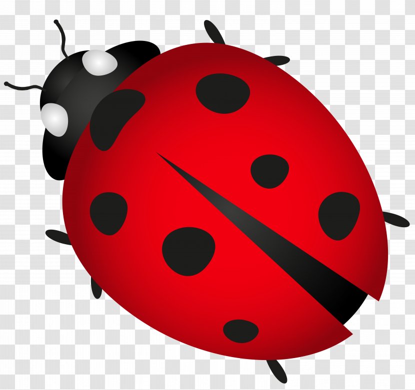 Clip Art - Beetle - Lady Bug Transparent Image Transparent PNG