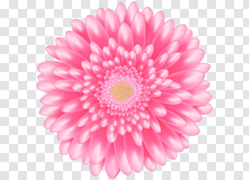 Common Daisy Clip Art Flower Openclipart - Cut Flowers Transparent PNG