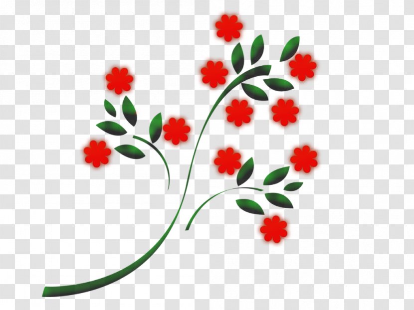 Brush Flower - Plant Stem - Floral Leaf Transparent PNG