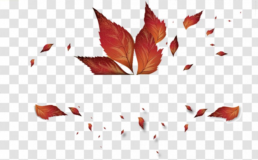 Autumn Leaf Color Clip Art - Petal - Leaves Transparent PNG