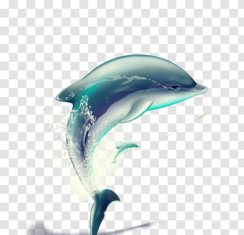 Dolphin - Vecteur - Vector Hand-painted Transparent PNG