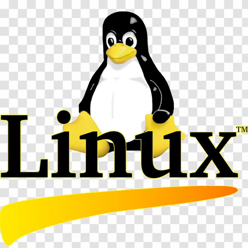 Penguin Logo Linux Brand Font - Flightless Bird Transparent PNG