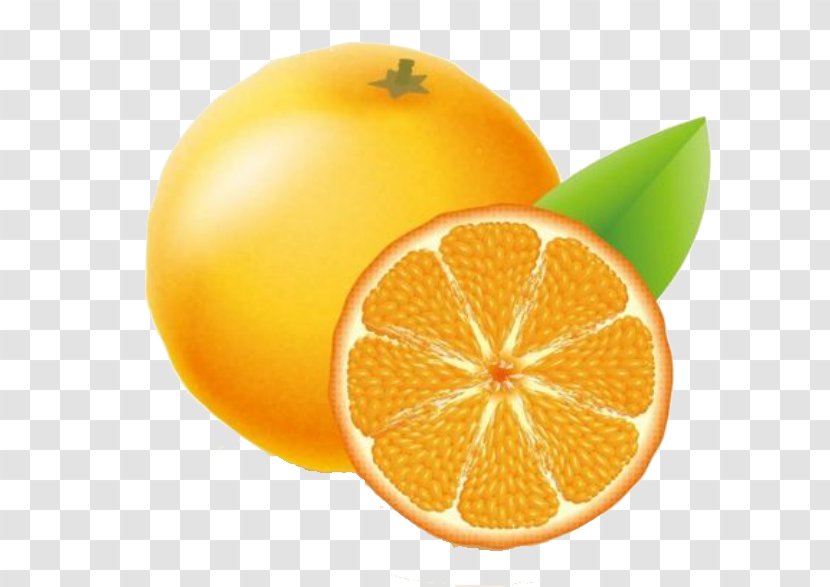Clementine Orange Adobe Illustrator Icon - Peel - Chu Free Button Elements Transparent PNG