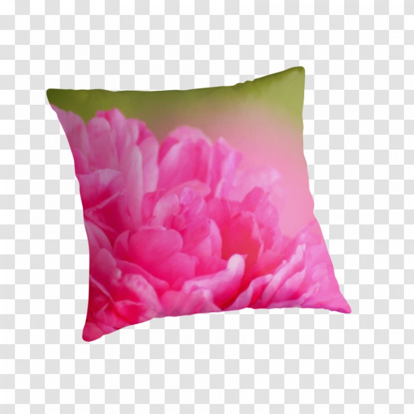 Tulip Throw Pillows Cushion Pink M - Petal Transparent PNG