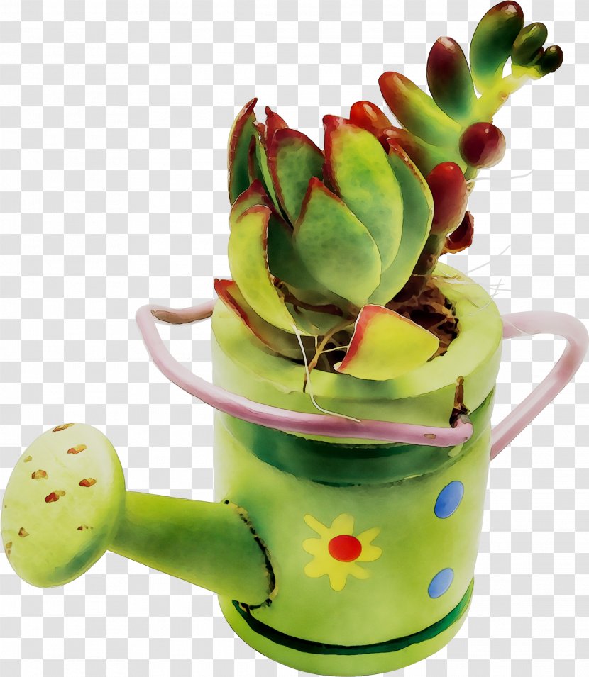 Plants - Ceramic - Cactus Transparent PNG