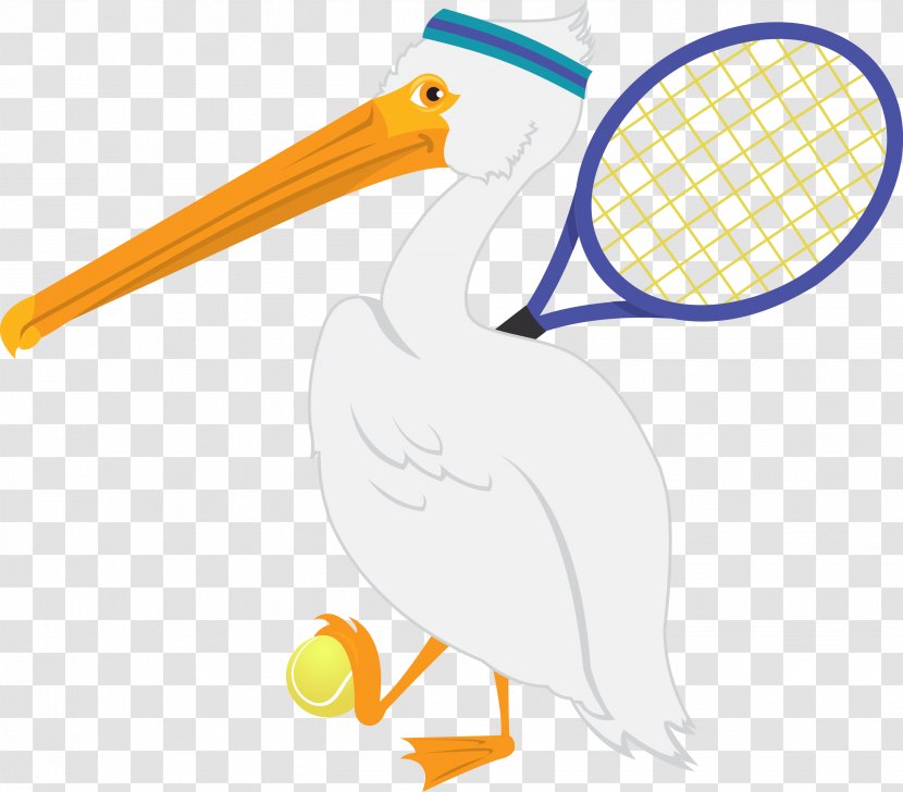 Bird Beak Cartoon Sport Clip Art - Sporting Goods - Pelican Transparent PNG