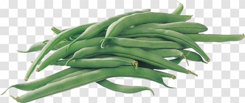 Common Bean Green Pea Legume Vegetable - Black Beans Transparent PNG
