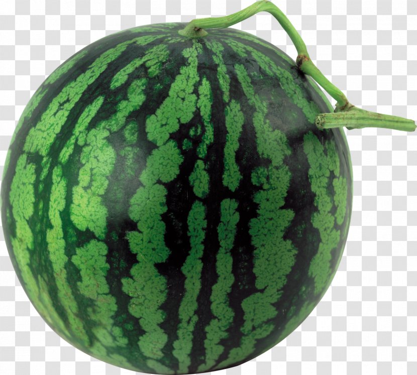 Citrullus Lanatus Crookneck Pumpkin Watermelon Food Vegetable Transparent PNG