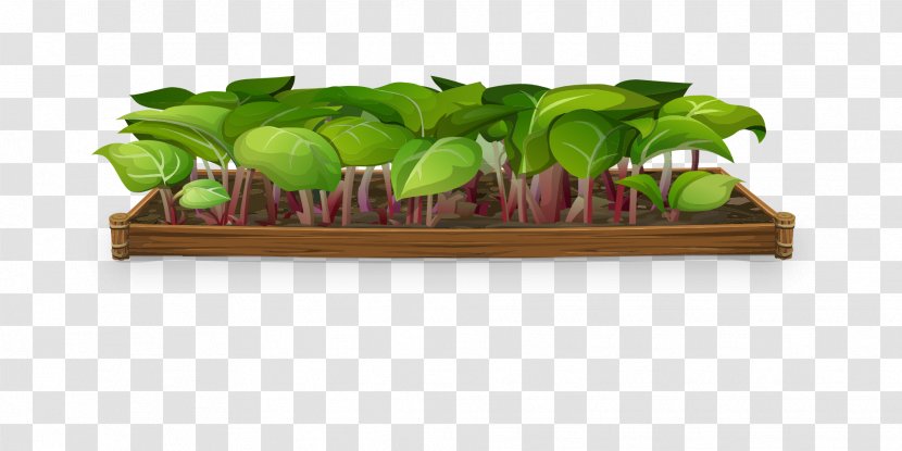 Plant Garden Nursery Flowerpot Clip Art - Leaf Vegetable - Greenery Transparent PNG